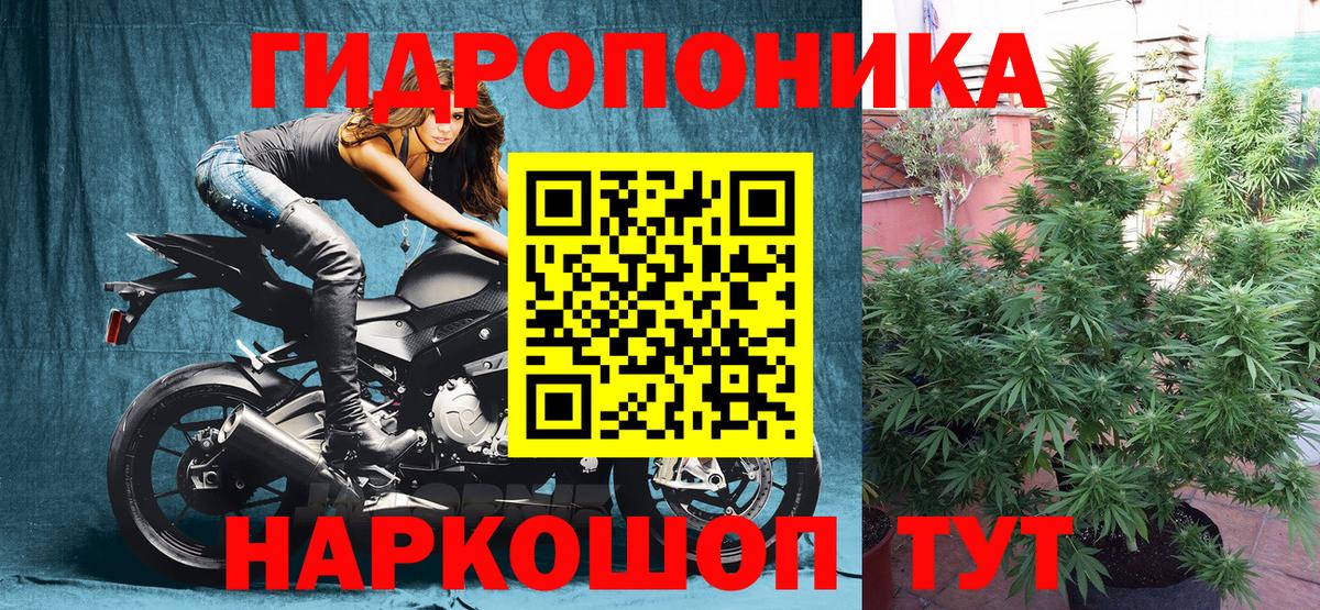 МАРИХУАНА OG Kush Среднеуральск